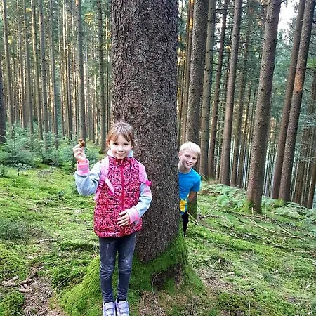 Gemuetliches Haus Im Herzen Des Schwarzwaldes Fuer Bis Zu 9 Personen Elzach