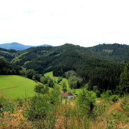 Gemuetliches Haus Im Herzen Des Schwarzwaldes Fuer Bis Zu 9 Personen Holiday home