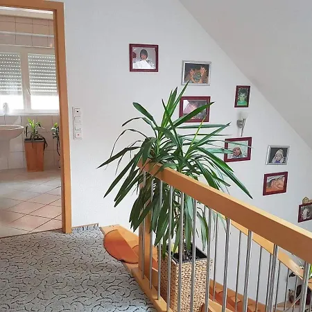 Holiday home Gemuetliches Haus Im Herzen Des Schwarzwaldes Fuer Bis Zu 9 Personen Elzach