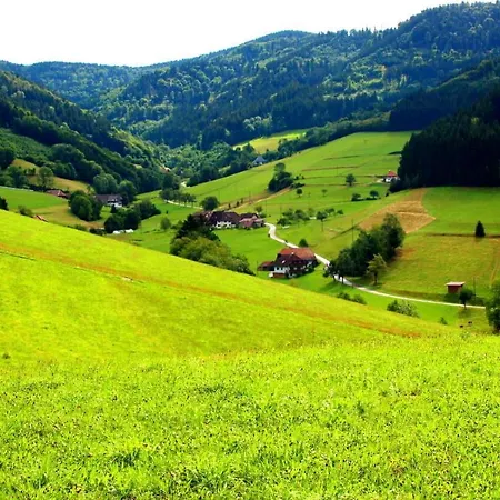 Gemuetliches Haus Im Herzen Des Schwarzwaldes Fuer Bis Zu 9 Personen Elzach