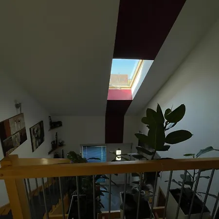 Gemuetliches Haus Im Herzen Des Schwarzwaldes Fuer Bis Zu 9 Personen